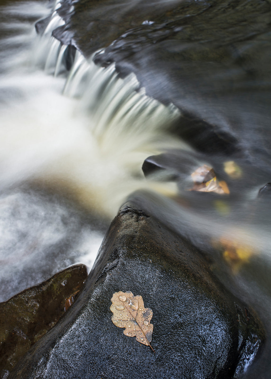 Hareshaw Linn & Bellingham – Northumberland Landscape Photography Workshop - 1st November 2026