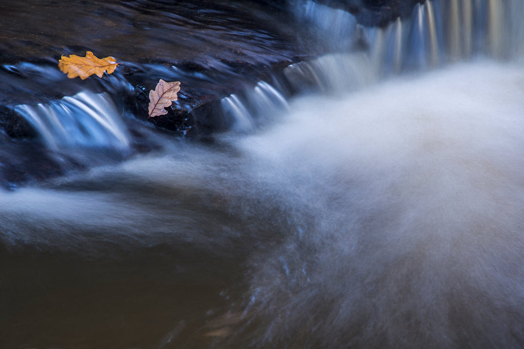 Hareshaw Linn & Bellingham – Northumberland Landscape Photography Workshop - 1st November 2026
