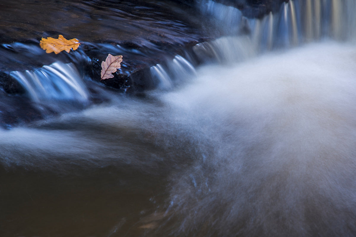Hareshaw Linn & Bellingham – Northumberland Landscape Photography Workshop - 1st November 2026