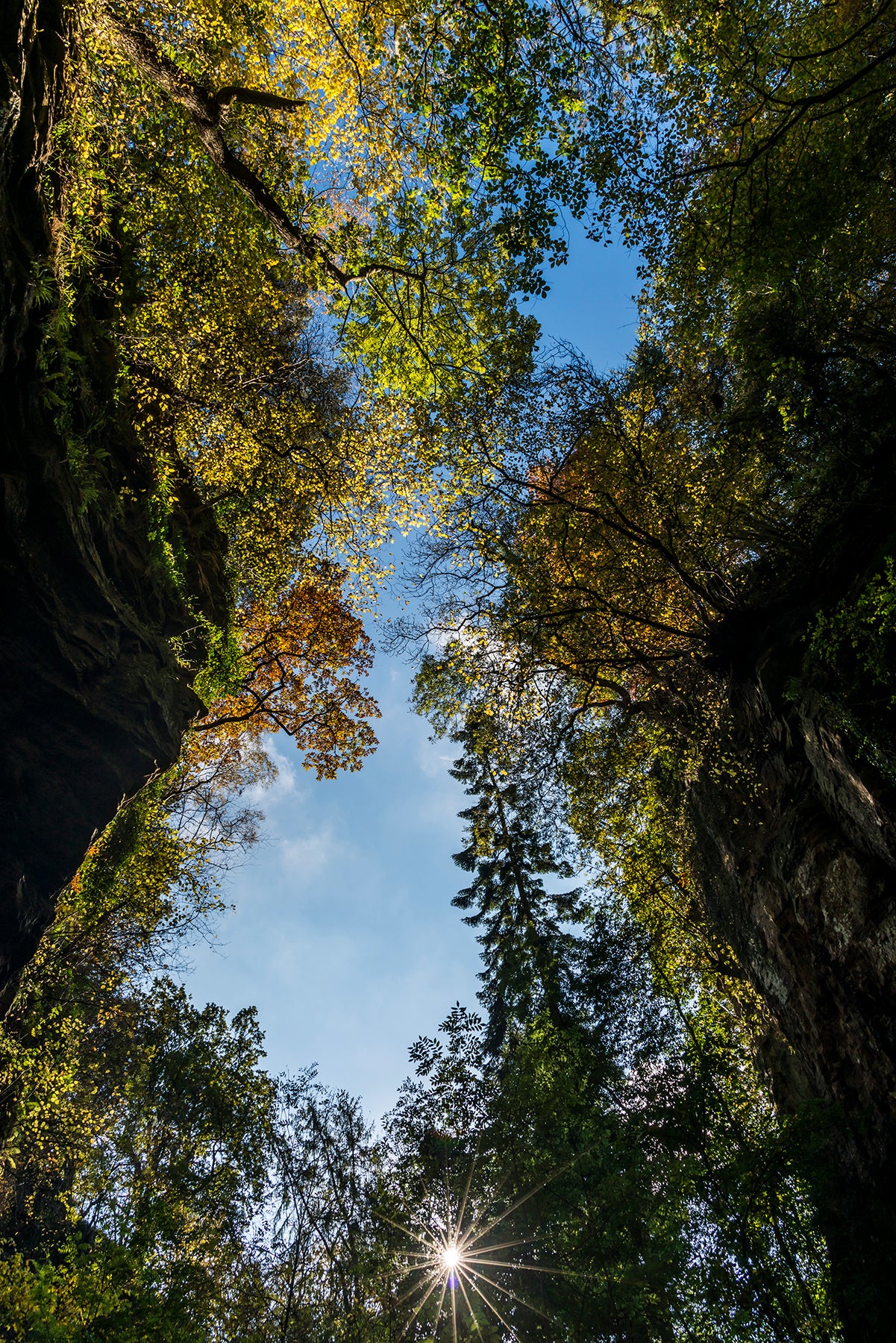 Hareshaw Linn & Bellingham – Northumberland Landscape Photography Workshop - 1st November 2026