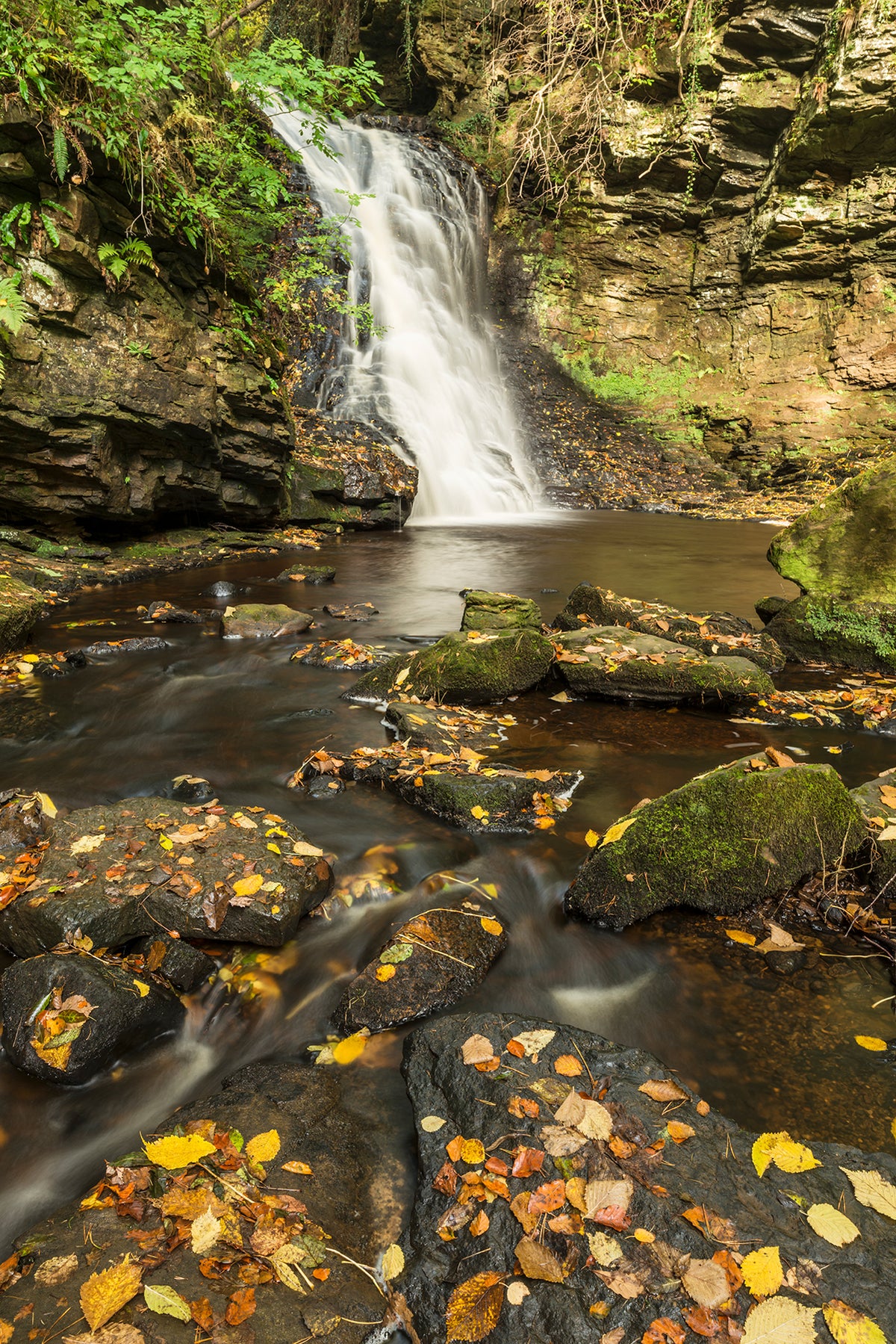 Hareshaw Linn & Bellingham – Northumberland Landscape Photography Workshop - 1st November 2026