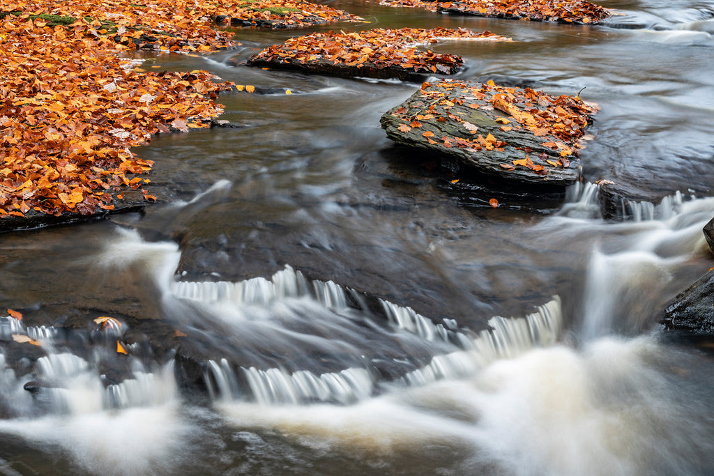 Hareshaw Linn & Bellingham – Northumberland Landscape Photography Workshop - 1st November 2026