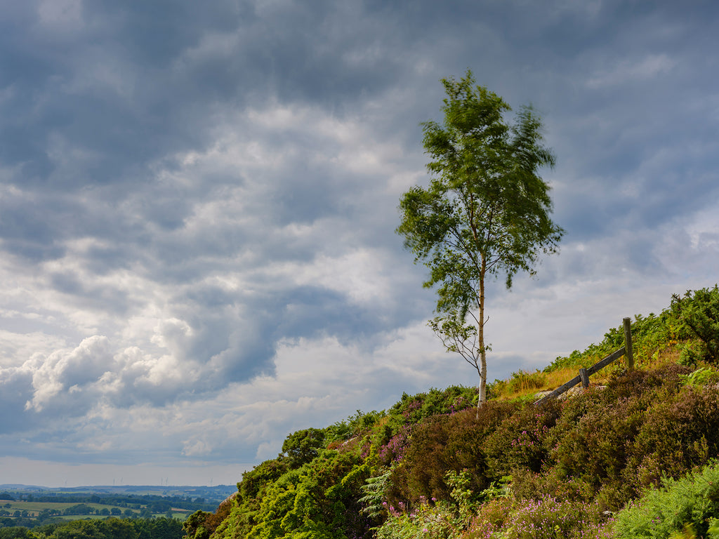 Bolam Lake & Shaftoe Crags – Northumberland Photography Workshop - 8th November 2026