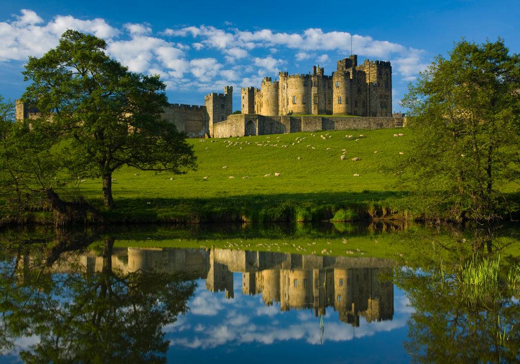 Alnwick Castle, Northumberland, 1000 Piece Jigsaw Puzzle