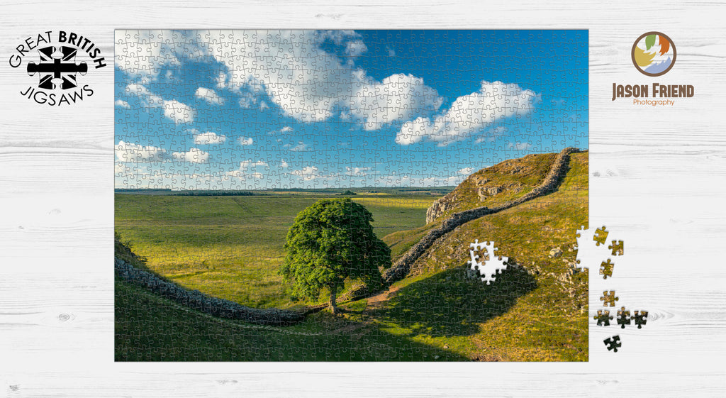 Sycamore Gap and Hadrian’s Wall, Northumberland, 1000 Piece Jigsaw Puzzle