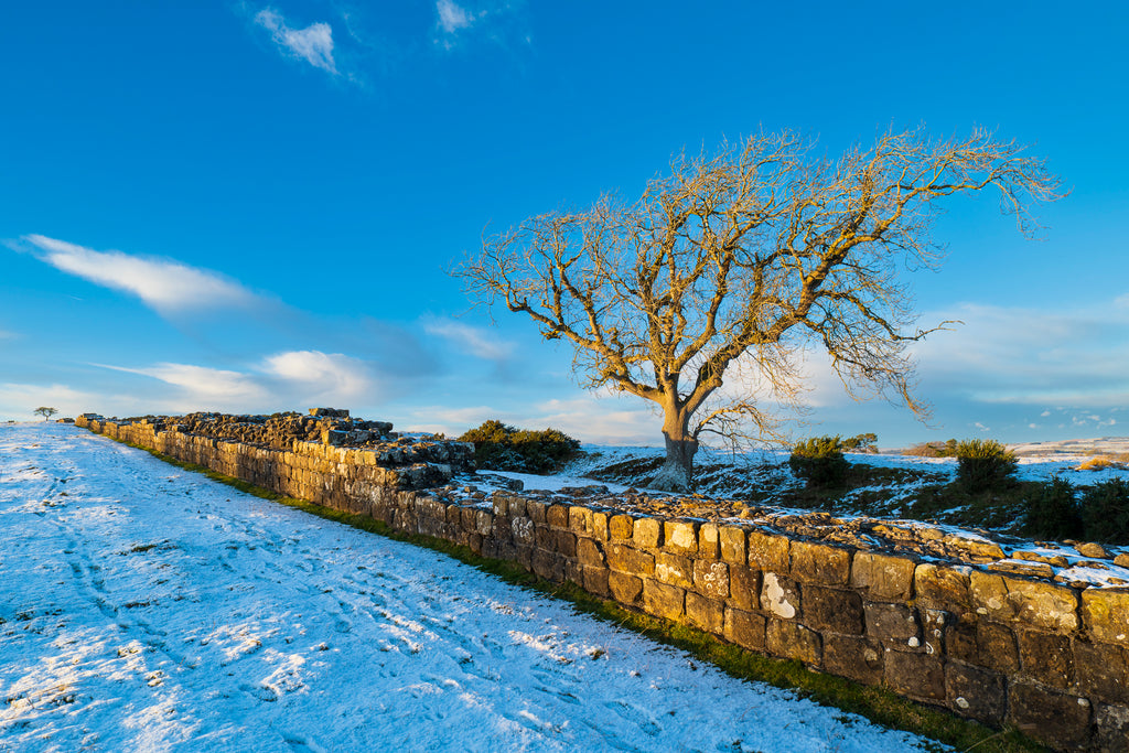 Northumberland Wall Calendar
