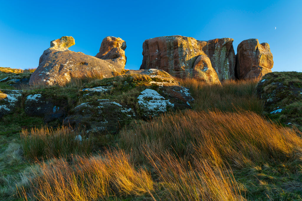 Northumberland Wall Calendar