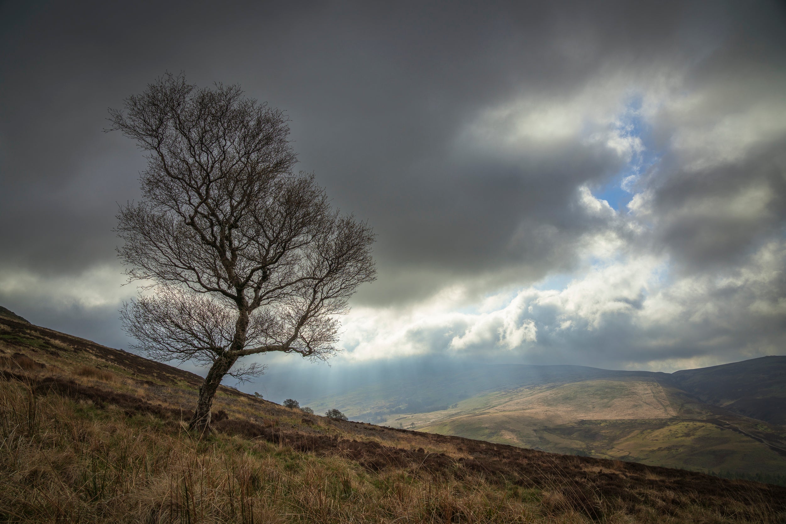 Northumberland Wall Calendar