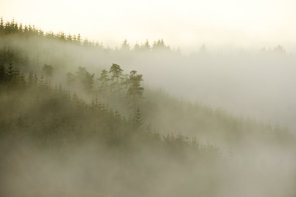 Northumberland Landscape Photography Tuition
