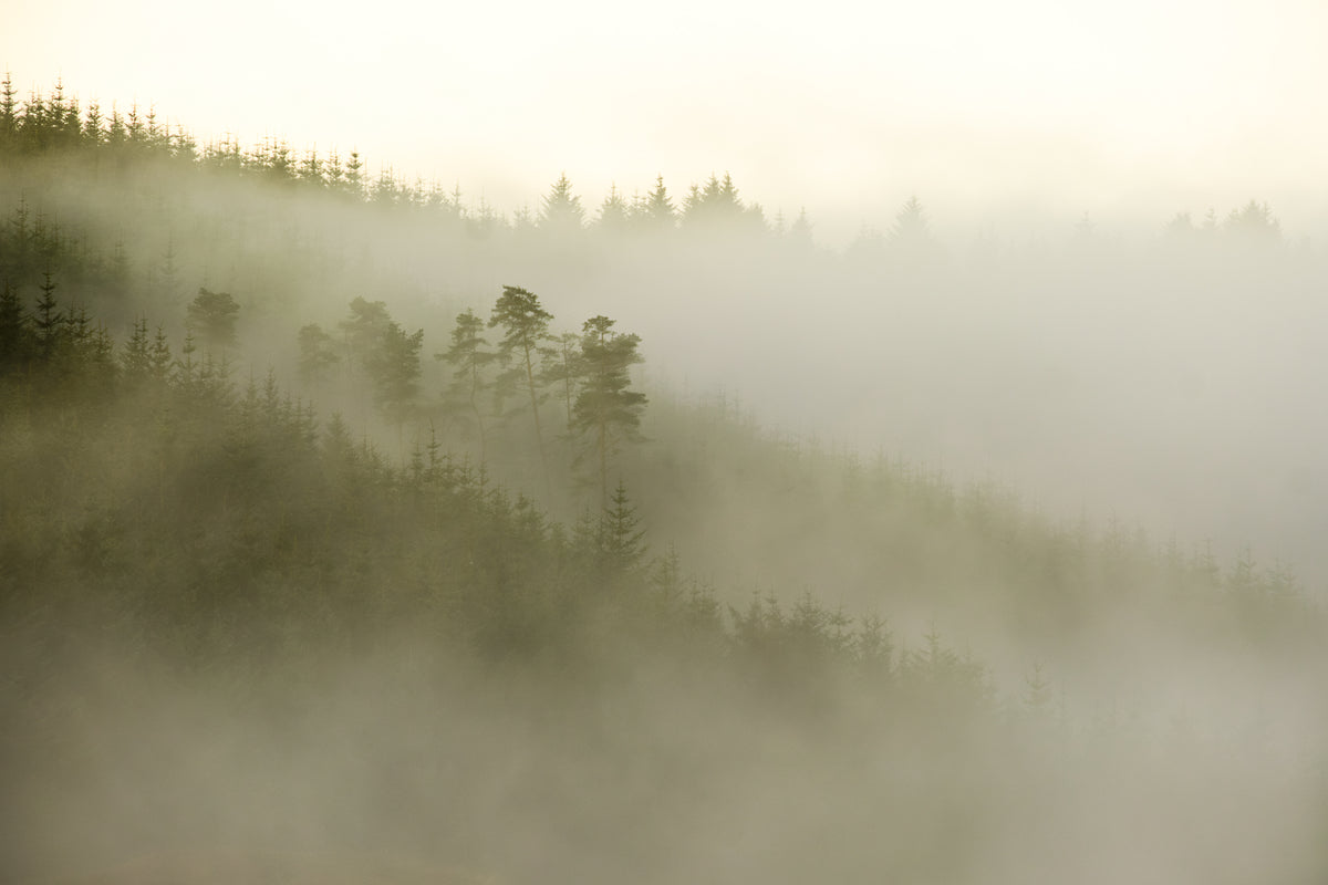 Northumberland Landscape Photography Tuition