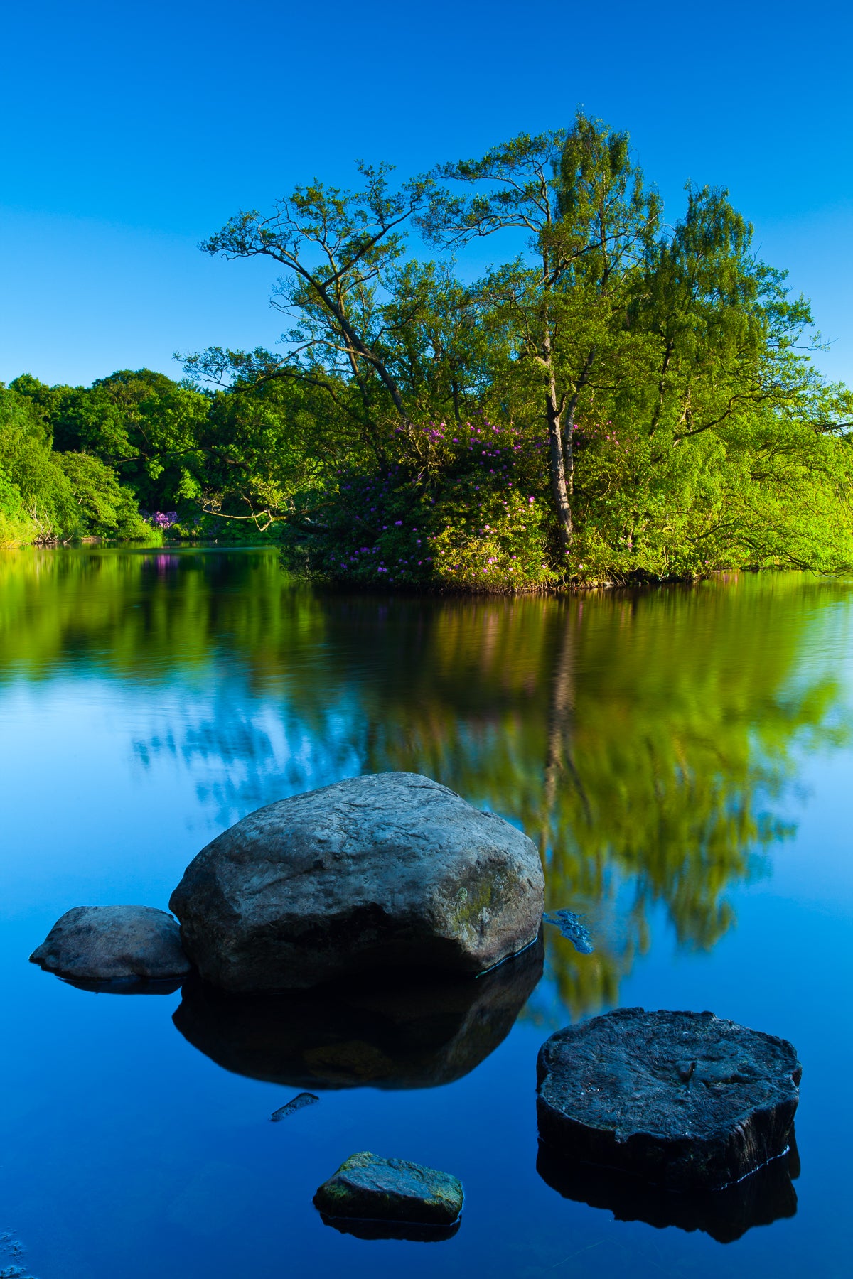 Bolam Lake & Shaftoe Crags – Northumberland Photography Workshop - 8th November 2026