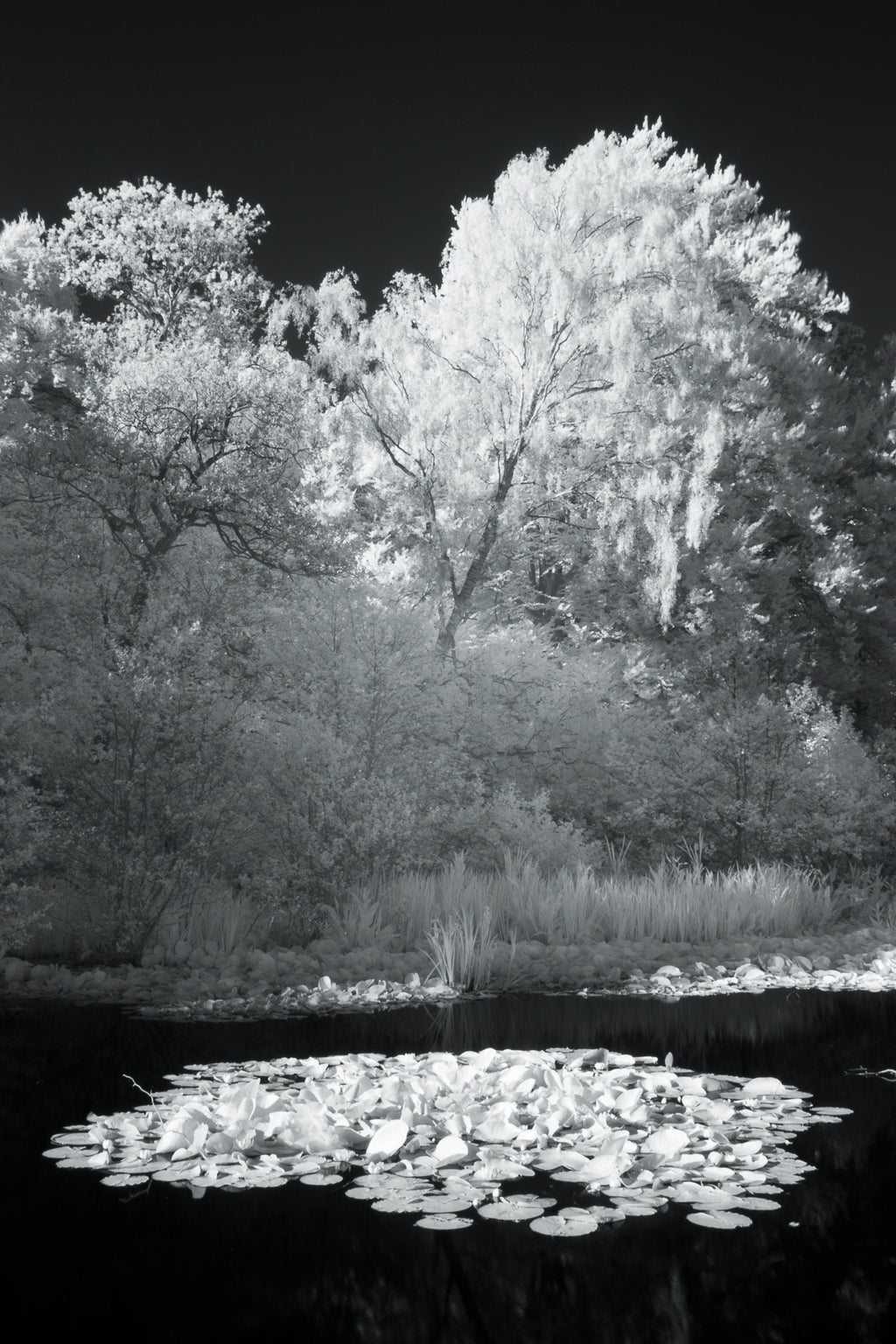 Bolam Lake & Shaftoe Crags – Northumberland Photography Workshop - 8th November 2026