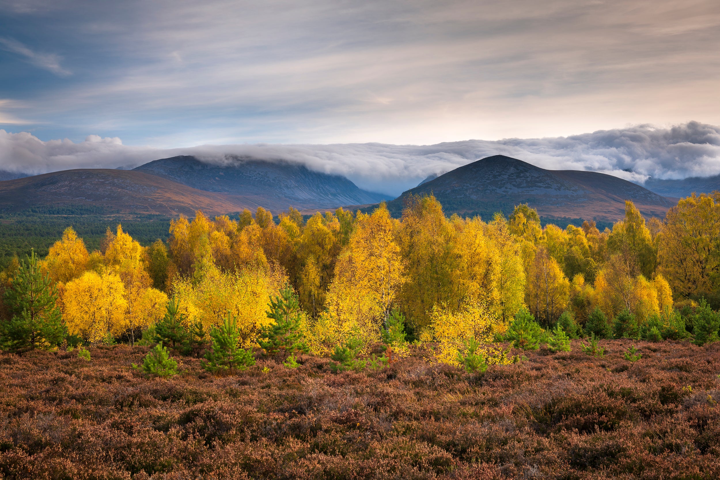 Scottish Highlands & Islands Wall Calendar