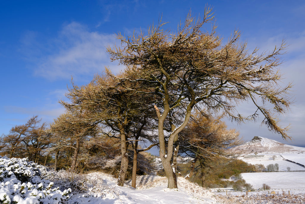 Yorkshire Dales & Coast Wall Calendar