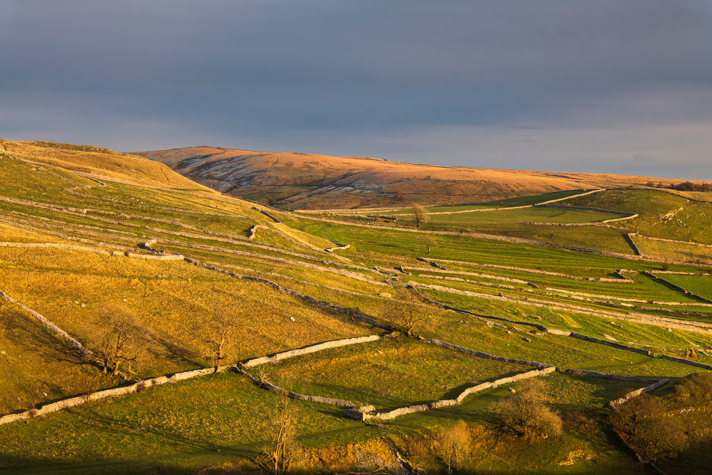 Yorkshire Dales & Coast Wall Calendar