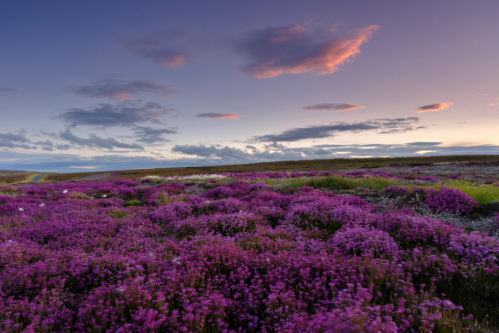 Yorkshire Dales & Coast Wall Calendar